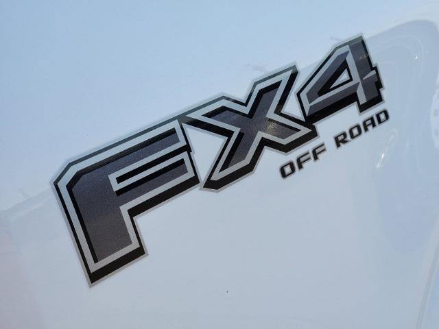 2024 Ford F-150 Vehicle Photo in Pilot Point, TX 76258