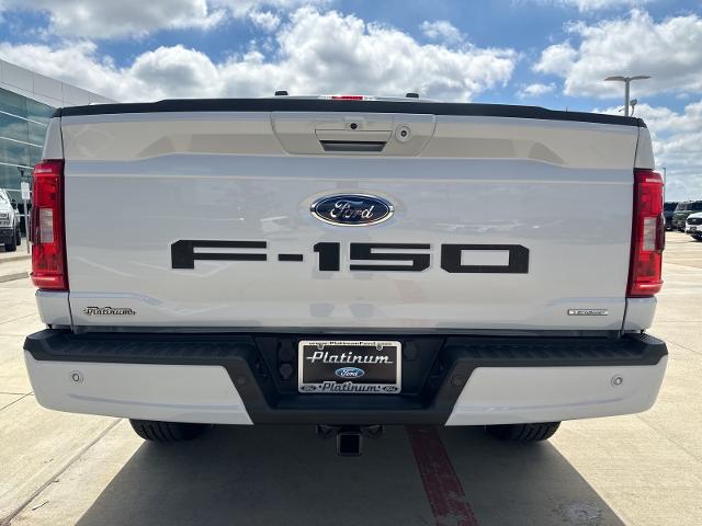 2021 Ford F-150 Vehicle Photo in Terrell, TX 75160