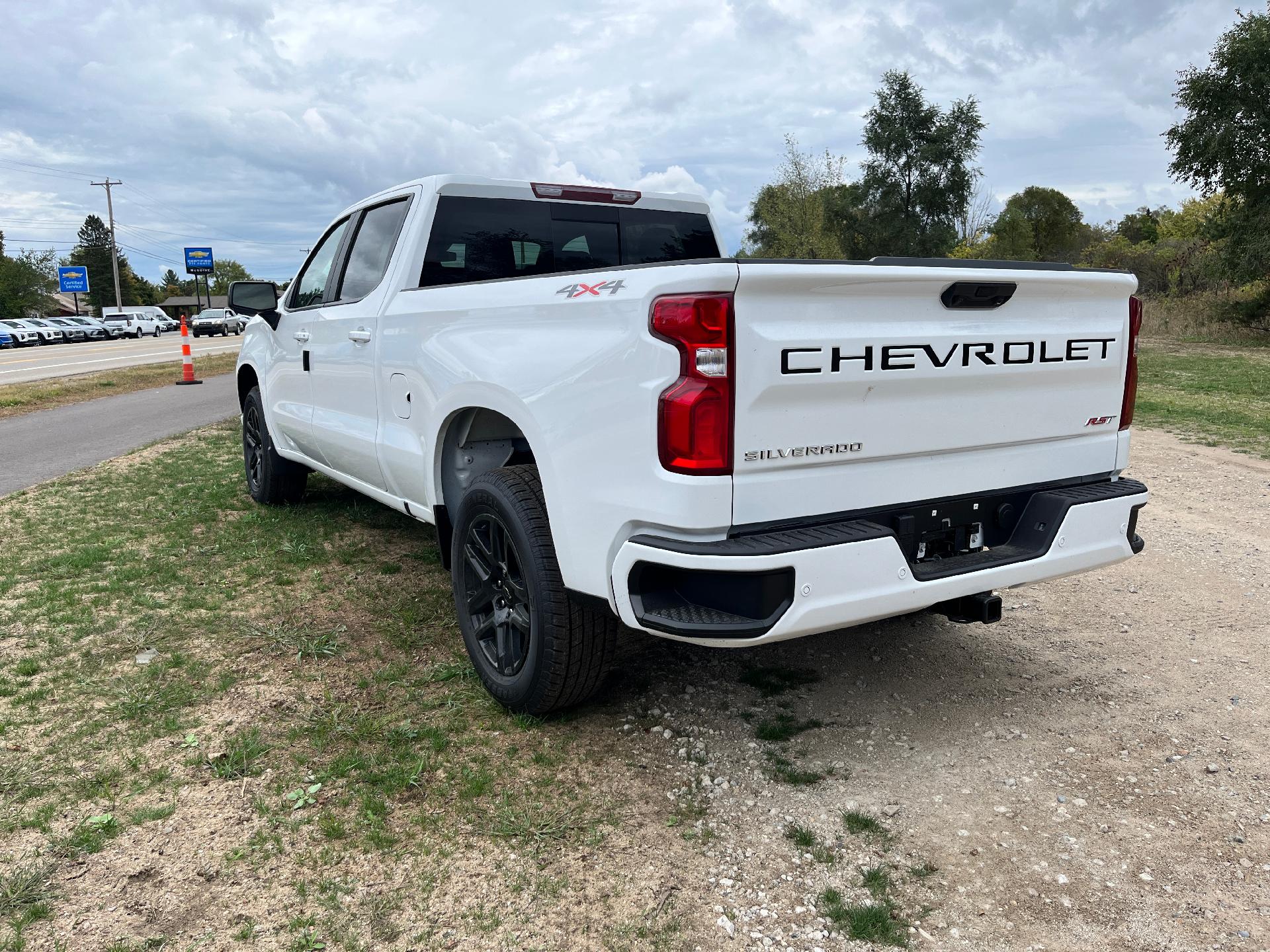 2025 Chevrolet Silverado 1500 Vehicle Photo in CLARE, MI 48617-9414