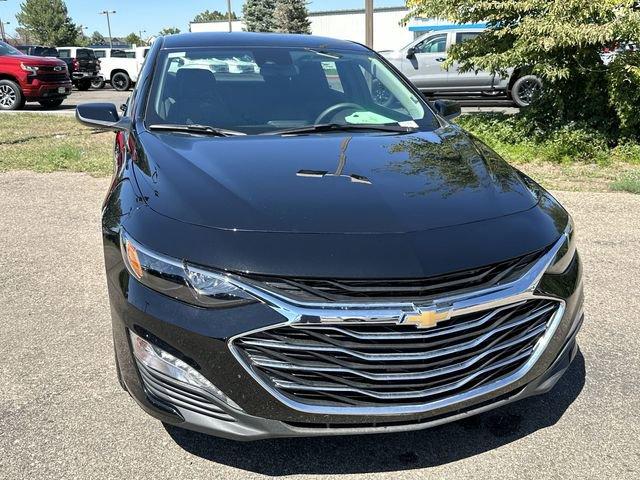 2024 Chevrolet Malibu Vehicle Photo in GREELEY, CO 80634-4125