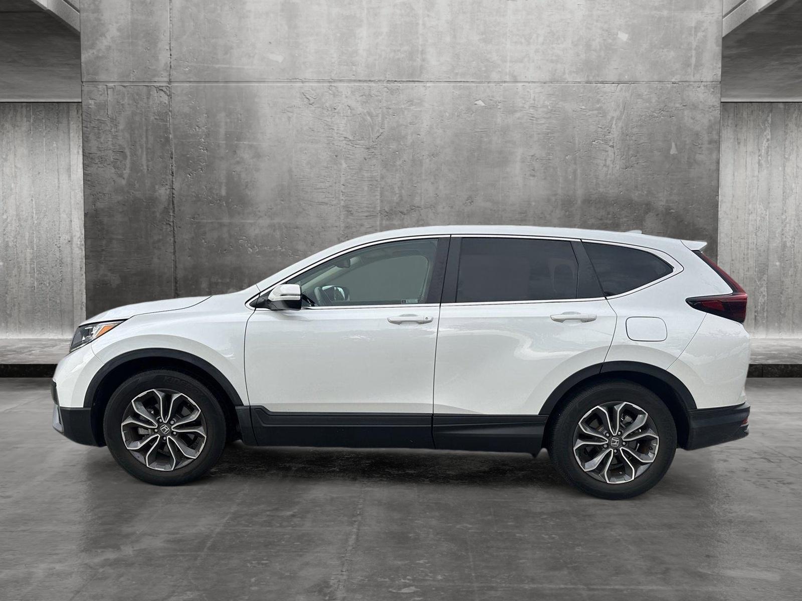 2022 Honda CR-V Vehicle Photo in Hollywood, FL 33021