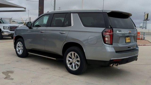 2023 Chevrolet Tahoe Vehicle Photo in SELMA, TX 78154-1459