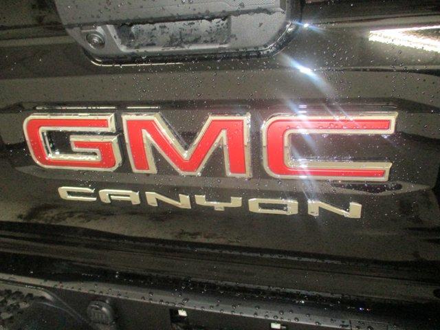 2024 GMC Canyon Vehicle Photo in BATTLE CREEK, MI 49037-8454