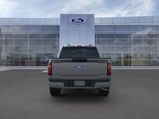 2024 Ford F-150 Vehicle Photo in Boyertown, PA 19512