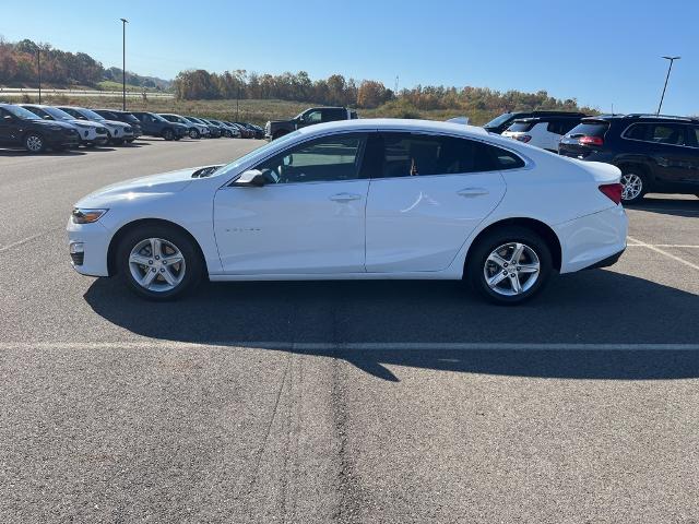 2024 Chevrolet Malibu Vehicle Photo in Jackson, OH 45640-9766