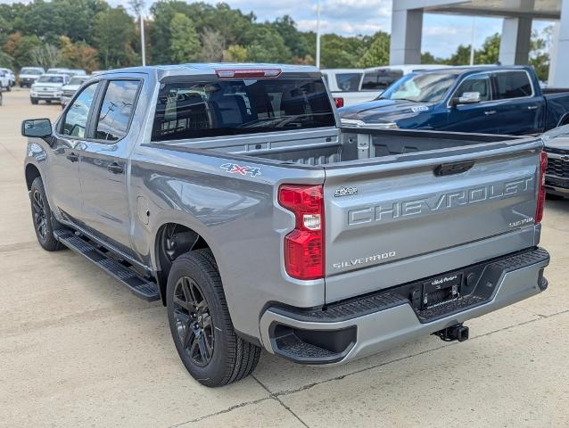 2024 Chevrolet Silverado 1500 Vehicle Photo in POMEROY, OH 45769-1023