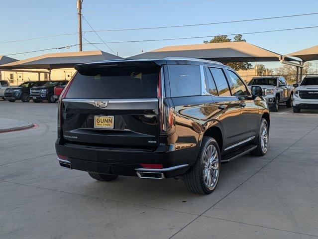 2021 Cadillac Escalade Vehicle Photo in SELMA, TX 78154-1459