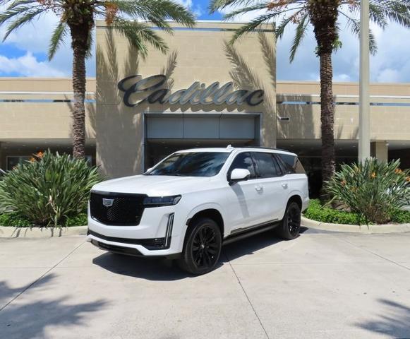 2023 Cadillac Escalade Vehicle Photo in DELRAY BEACH, FL 33483-3294