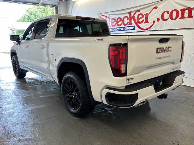 2025 GMC Sierra 1500 Vehicle Photo in RED SPRINGS, NC 28377-1640