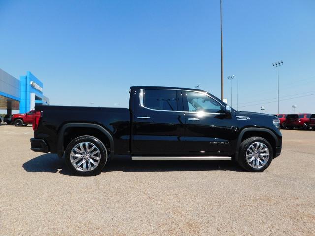 2025 GMC Sierra 1500 Vehicle Photo in Weatherford, TX 76087