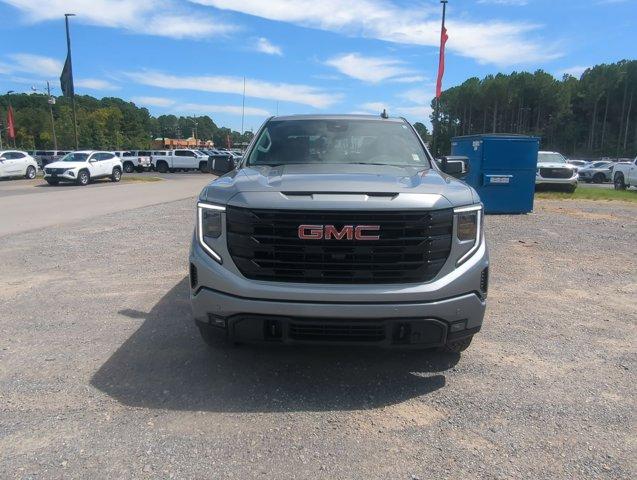 2025 GMC Sierra 1500 Vehicle Photo in ALBERTVILLE, AL 35950-0246