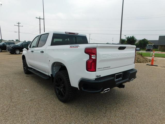 2024 Chevrolet Silverado 1500 Vehicle Photo in GATESVILLE, TX 76528-2745