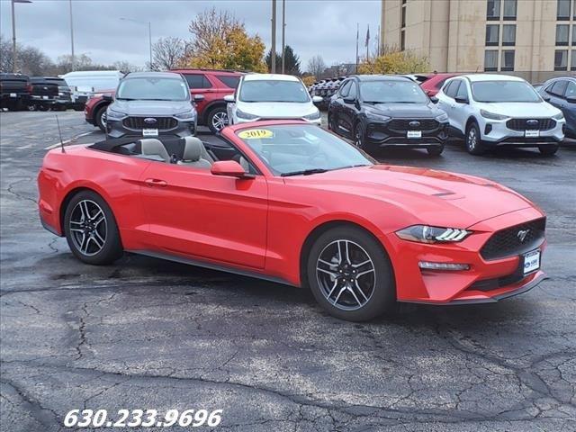 2019 Ford Mustang Vehicle Photo in Saint Charles, IL 60174