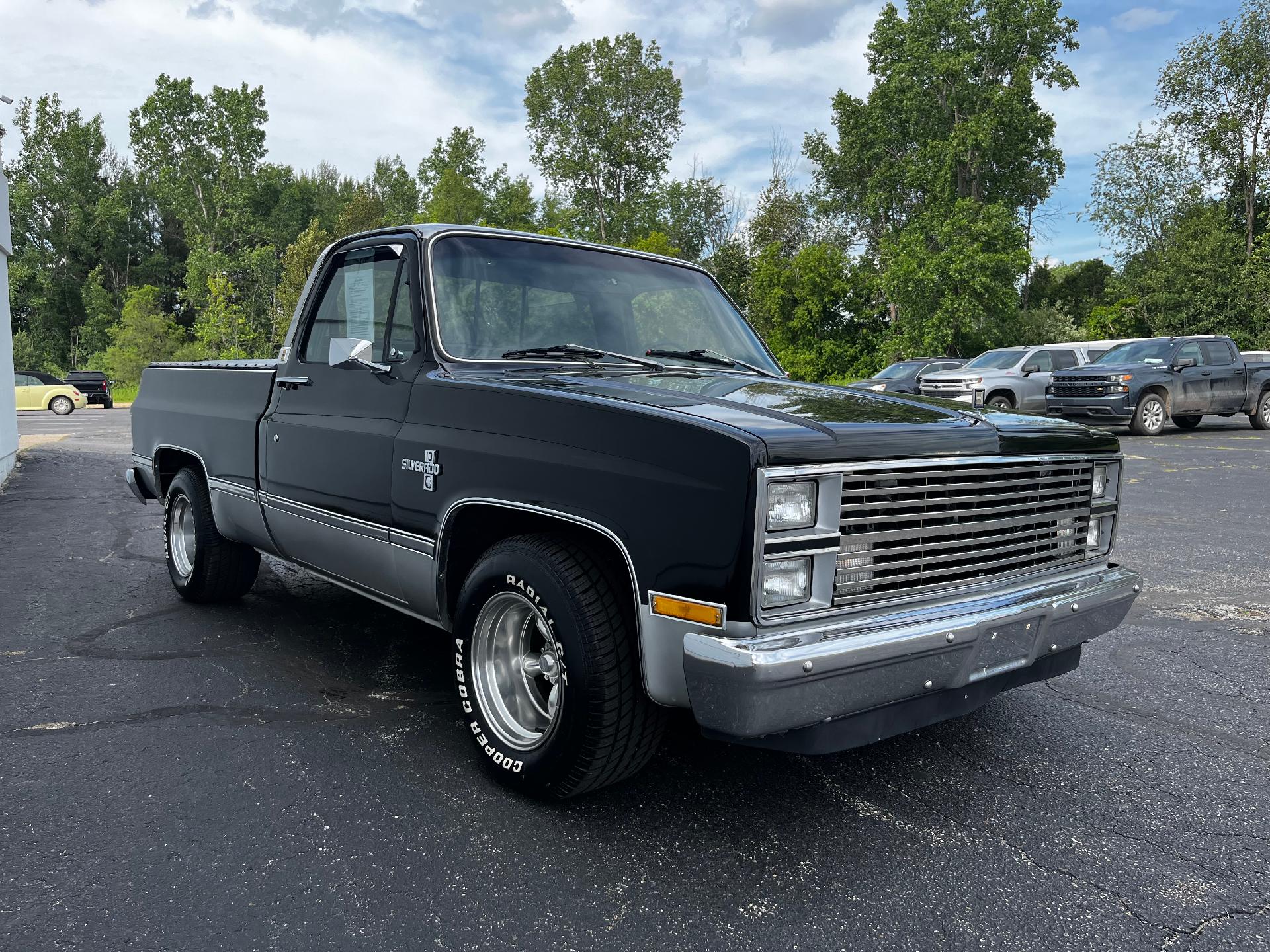 1984 Chevrolet Pickup Vehicle Photo in CLARE, MI 48617-9414