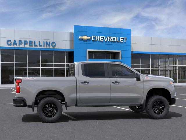 2024 Chevrolet Silverado 1500 Vehicle Photo in BOSTON, NY 14025-9684