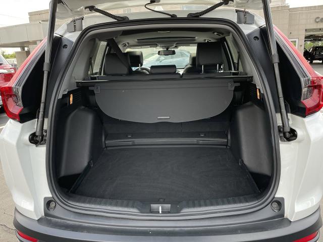 2022 Honda CR-V Vehicle Photo in WILLIAMSVILLE, NY 14221-4303