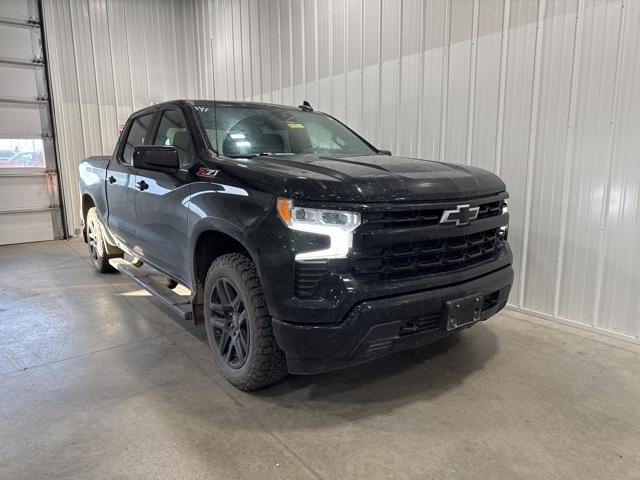 2023 Chevrolet Silverado 1500 Vehicle Photo in GLENWOOD, MN 56334-1123