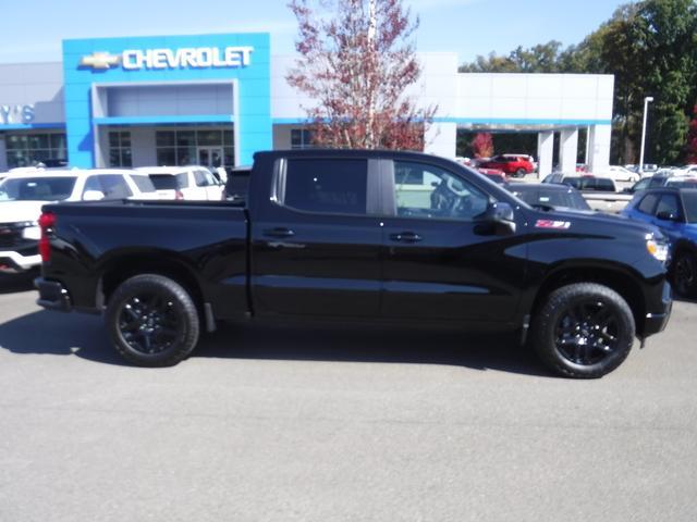 2024 Chevrolet Silverado 1500 Vehicle Photo in JASPER, GA 30143-8655