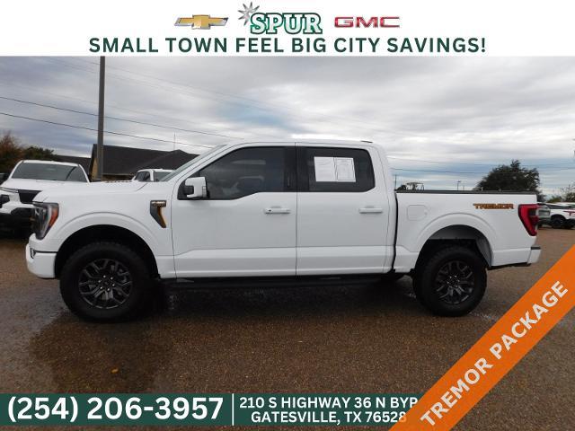 2023 Ford F-150 Vehicle Photo in GATESVILLE, TX 76528-2745