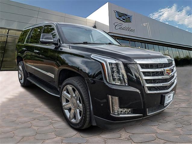 2019 Cadillac Escalade Vehicle Photo in LITTLETON, CO 80124-2754