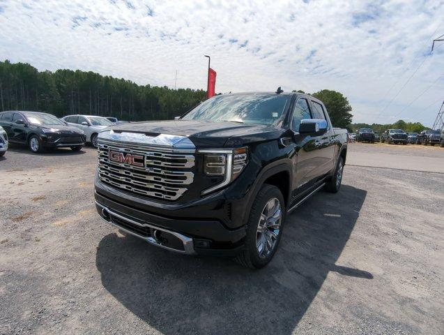 2025 GMC Sierra 1500 Vehicle Photo in ALBERTVILLE, AL 35950-0246