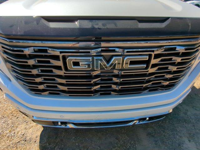 2025 GMC Sierra 1500 Vehicle Photo in ALBERTVILLE, AL 35950-0246