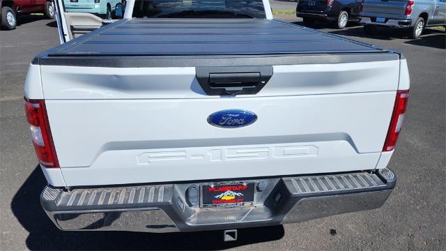 2020 Ford F-150 Vehicle Photo in FLAGSTAFF, AZ 86001-6214