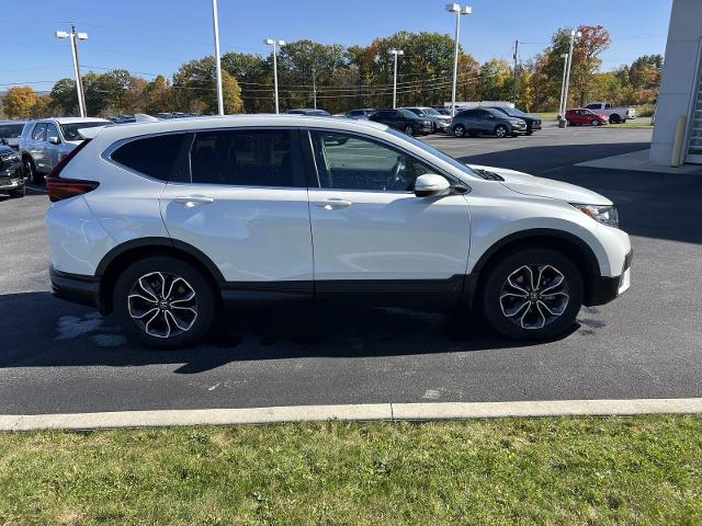 2021 Honda CR-V Vehicle Photo in INDIANA, PA 15701-1897