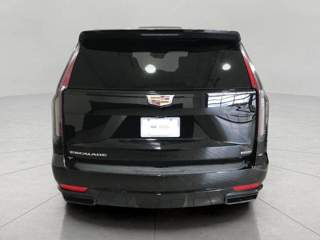 2023 Cadillac Escalade Vehicle Photo in GREEN BAY, WI 54303-3330