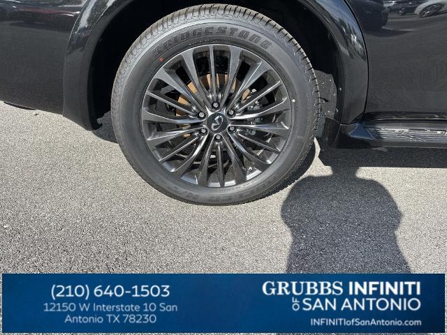 2024 INFINITI QX80 Vehicle Photo in San Antonio, TX 78230