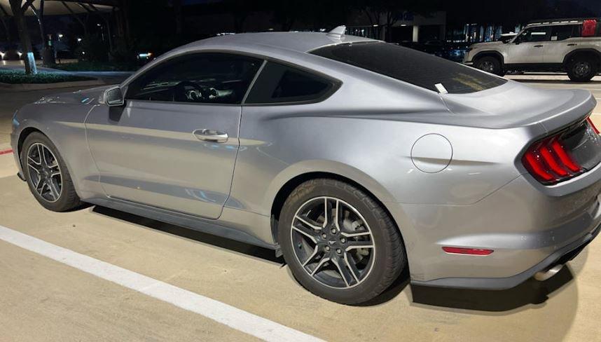 2021 Ford Mustang Vehicle Photo in FORT WORTH, TX 76132