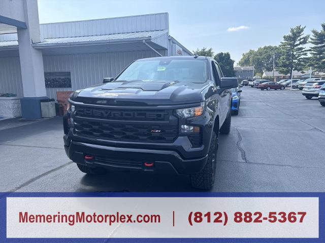 2024 Chevrolet Silverado 1500 Vehicle Photo in VINCENNES, IN 47591-5519