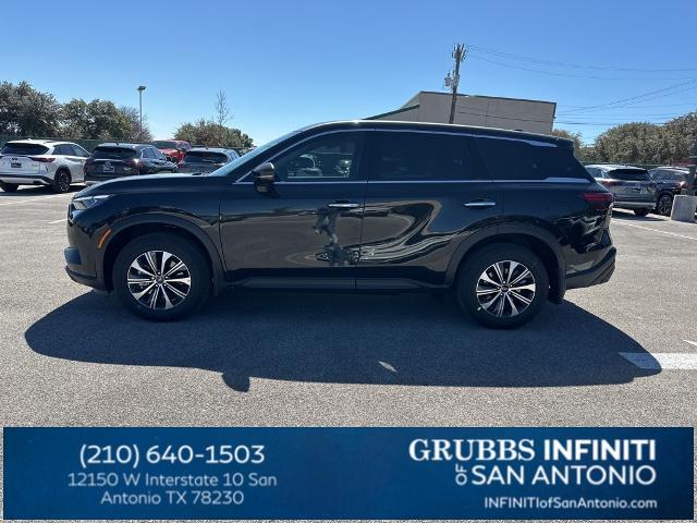 2024 INFINITI QX60 Vehicle Photo in San Antonio, TX 78230