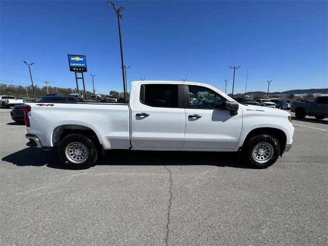 2024 Chevrolet Silverado 1500 Vehicle Photo in ALCOA, TN 37701-3235