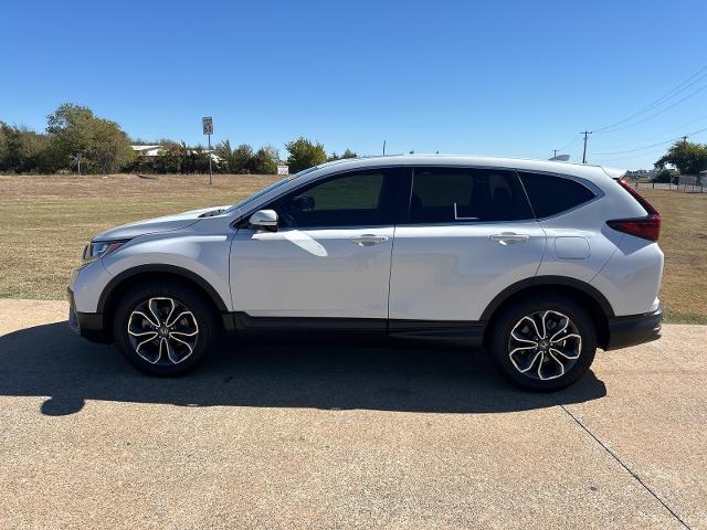 2022 Honda CR-V Vehicle Photo in Denison, TX 75020