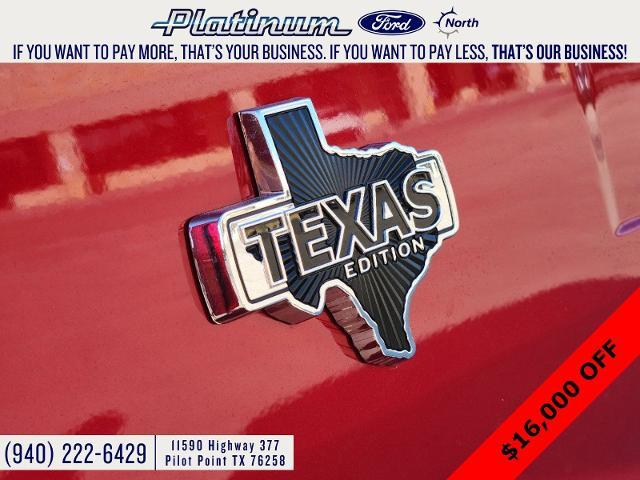 2024 Ford F-150 Vehicle Photo in Pilot Point, TX 76258