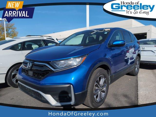 2022 Honda CR-V Vehicle Photo in Greeley, CO 80634-8763