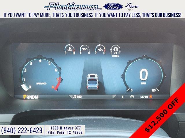 2024 Ford F-150 Vehicle Photo in Pilot Point, TX 76258