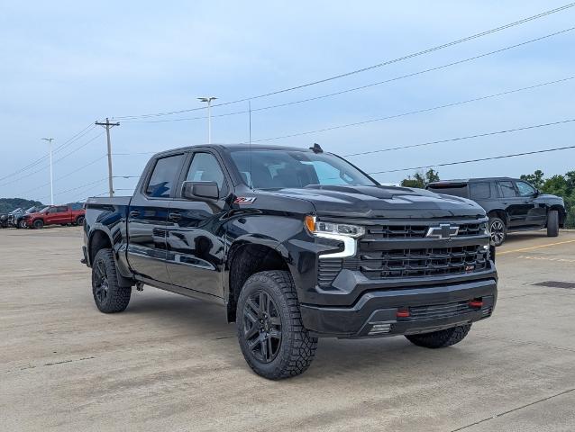 2024 Chevrolet Silverado 1500 Vehicle Photo in POMEROY, OH 45769-1023