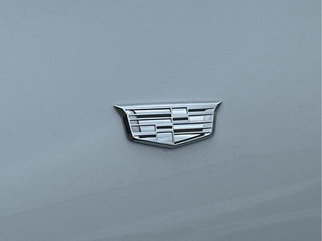 2020 Cadillac CT4 Vehicle Photo in DUNN, NC 28334-8900