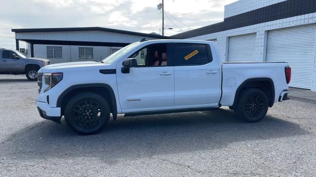 2023 GMC Sierra 1500 Vehicle Photo in TURLOCK, CA 95380-4918