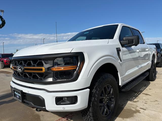 2024 Ford F-150 Vehicle Photo in Terrell, TX 75160