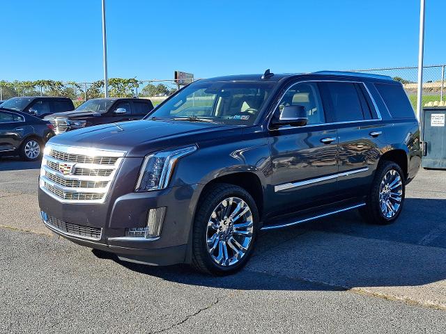 2020 Cadillac Escalade Vehicle Photo in HARRISBURG, PA 17111-1033