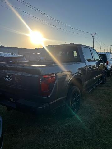 2024 Ford F-150 Vehicle Photo in STEPHENVILLE, TX 76401-3713