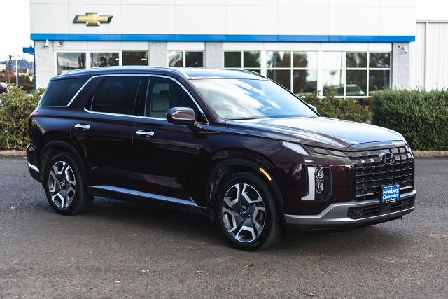 2023 Hyundai Palisade Vehicle Photo in NEWBERG, OR 97132-1927