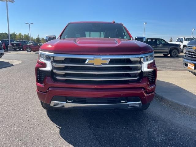 2025 Chevrolet Silverado 1500 Vehicle Photo in GLENWOOD, MN 56334-1123