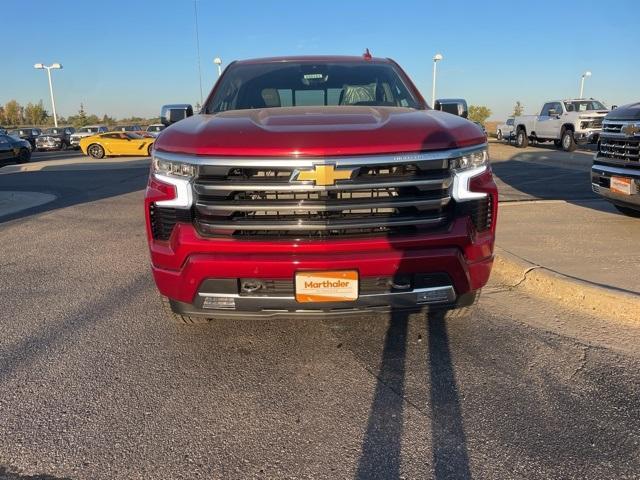 2025 Chevrolet Silverado 1500 Vehicle Photo in GLENWOOD, MN 56334-1123