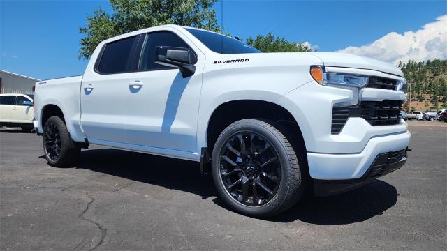 2024 Chevrolet Silverado 1500 Vehicle Photo in FLAGSTAFF, AZ 86001-6214