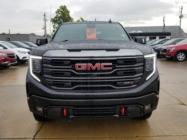 2023 GMC Sierra 1500 Vehicle Photo in ELYRIA, OH 44035-6349