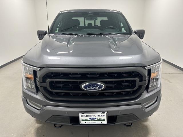 Used 2022 Ford F-150 XLT with VIN 1FTFW1E85NFA86214 for sale in Pine River, MN